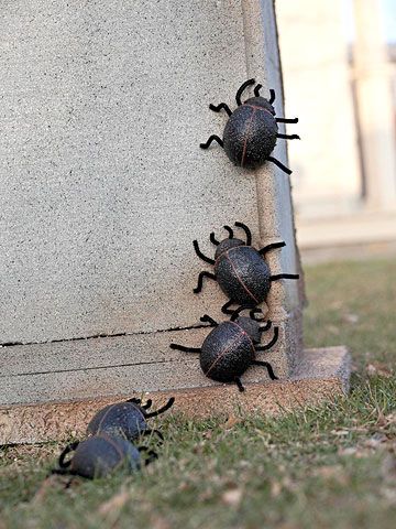 Every high-quality Halloween display requires a few creepy crawlies. Marshal a parade of scarab beetles -- Egyptian symbols of immortality -- across a crypt./ Diy Egyptian Decor, Halloween Bug Decor, Dung Beetle Craft, Beetle Decorations, Diy Bugs, Creepy Crawlies Preschool, Halloween Egyptian, Styrofoam Eggs, Egyptian Halloween