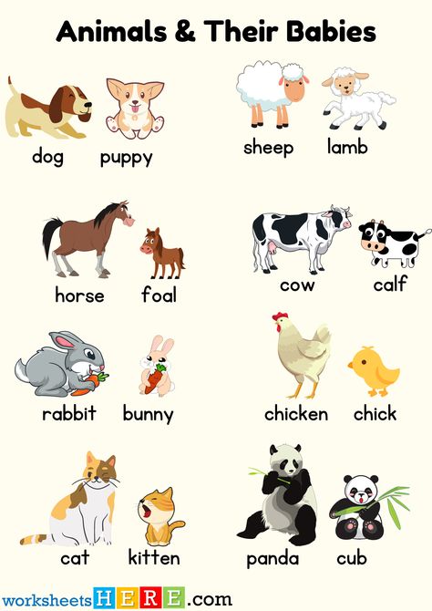 Animals With Their Babies, Animals And Their Babies, Animals Worksheet, Young Ones Of Animals, Animals Name With Picture, Mother And Baby Animals, Animal Collective, Color Flashcards, Physical Activities For Kids