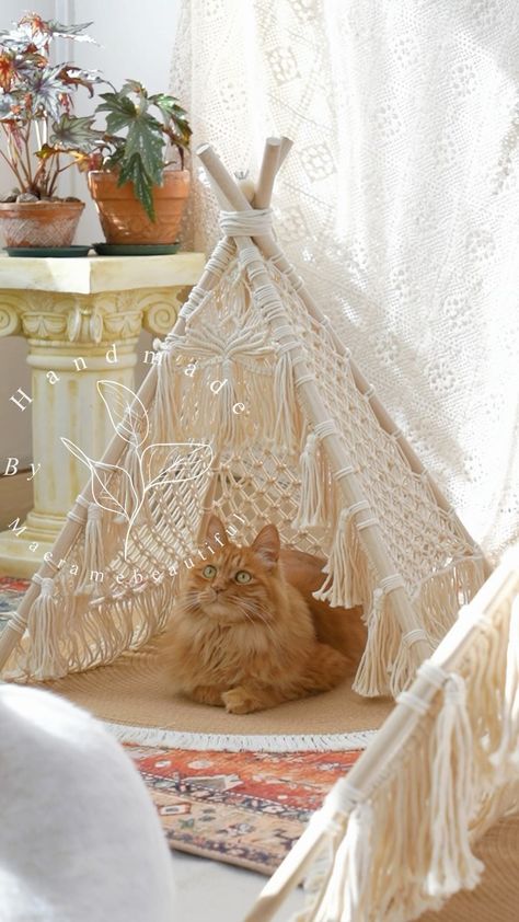 Emma Yang | Sunbeams and dream weaves 🌞✨! Our fur babies are basking in the boho bliss of their luxury macramé cat tent. It’s purr-fect for those lazy,… | Instagram Boho Cat Accessories, Boho Cat Room, Macrame Cat Bed, Cat Park, Macrame Furniture, Macrame Cat Hammock, Cat Space, Needle Painting, Park Ideas