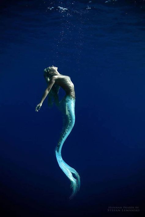 Being a professional mermaid is an actual job and we want to change careers, beach lifestyle water ocean Real Life Mermaids, Professional Mermaid, Mermaid Photography, Fantasy Mermaids, Mermaid Photos, Mermaid Swimming, Real Mermaids, Mermaid Pictures, Mermaid Aesthetic