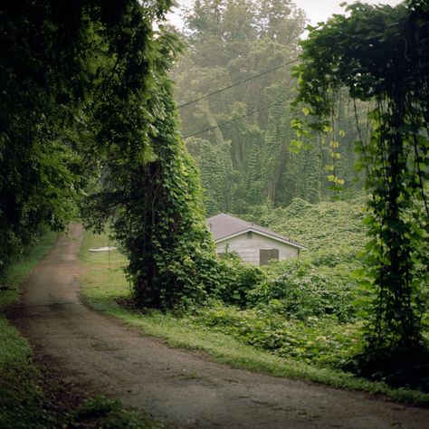 Southern Gothic Aesthetic, American Gothic, Southern Gothic, Gothic Aesthetic, West Virginia, Small Towns, Mother Nature, The Well, Beautiful Places