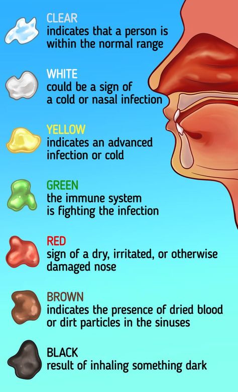 If you have ever had a runny nose, you probably know what snot is and you have probably noticed that it can change color and texture from time to time. It can be transparent, green, black, or other colors in between. 5-Minute Crafts will tell you more about what snot is, why our body needs it, and what its color means. ❗ Important: This article is for informational purposes only and doesn’t replace professional advice. Mucus Color, Medicinal Remedies, Apothecary Design, Health Meals, Birth Colors, Sinus Relief, Sick Remedies, Red Sign, Learn New Things