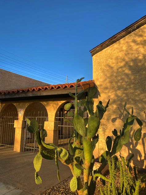 Spanish vibes, desert aesthetic Oasis Springs Aesthetic, Phoenix Az Aesthetic, Oasis Springs Sims 4, Phoenix Arizona Aesthetic, Phoenix Aesthetic, 2010 Nostalgia, Embry Riddle, Arizona Ranch, Sims 4 Worlds