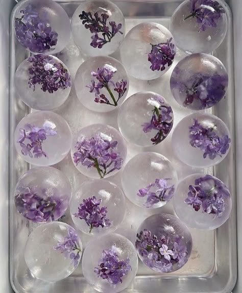 Mobile Bartender, Fancy Ice Cubes, Flower Recipe, Lila Party, Flower Ice Cubes, Flavored Ice Cubes, Fancy Ice, Floral Ice, Flower Ice