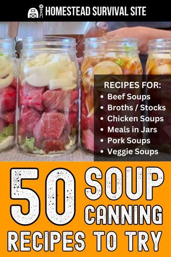 Discover over 50 delicious homemade soup canning recipes. From classic favorites to unique creations, find the perfect soup recipe. Soups To Pressure Can, Canning Leftover Soup, Soup For Canning Recipes, Pressure Canning Soup Recipes, Canning Gumbo, Soups For Canning, Canning Soups And Stews, Canning Cabbage Soup, Meals In A Jar Canning Recipes