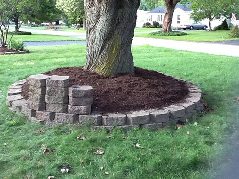 Front yard tree Side Yard Patio, Front Yard Tree, Outdoor Landscaping Ideas, Tree Landscaping, Tree Seat, Trees For Front Yard, Front Of House Landscape Ideas, Landscaping Around Trees, House Landscape Ideas