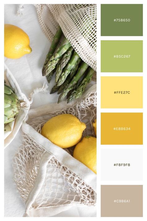 A Spring color palette is perfect for a creative brand that is clear, simple, optimistic, lively, and friendly. The colors of Spring inspire these color palettes, everything from vibrant blooming florals to light linens and pastels. Check out the 15 Spring color palettes to use for your brand and website. Lemon Color Palette Colour Schemes, Farm Color Pallete, Pastel Yellow Color Combination, Spring Decor Color Palette, Fresh Food Color Palette, Spring Color Palette Home Decor, Color Palettes For Websites, Earthy Spring Color Palette, Healthy Colour Palette