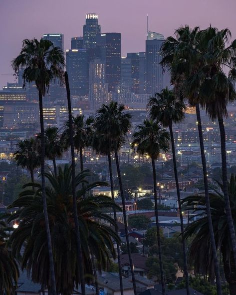 Los Angeles Aesthetic, Los Angeles Travel, City Of Angels, California Dreamin', Dream Holiday, Dream City, Concrete Jungle, California Adventure, Jolie Photo