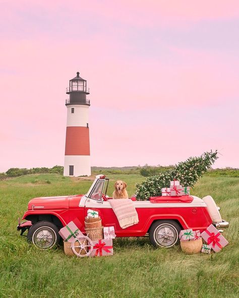 Looking for the perfect holiday decoration addition or gift? Here's a paw-fect idea, explore the Gray Malin Holiday collection, and bring home your favorite escape or whimiscal holiday getaway Boat Vibes, Snowy Lake, Fisherman Aesthetic, Maine Summer, Cute Dog Pics, Dallas House, Hamptons Summer, Christmas Soldiers, Aesthetic Coastal