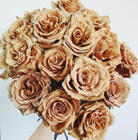 "Toffee" Roses Are So Popular, Some Florists Can Barely Keep Them in Stock Flower Varieties, Simple Rose, Flowers Petals, Brown Flowers, Des Roses, Buy Plants, Cherry Blossom Tree, Wholesale Flowers, Fragrant Flowers