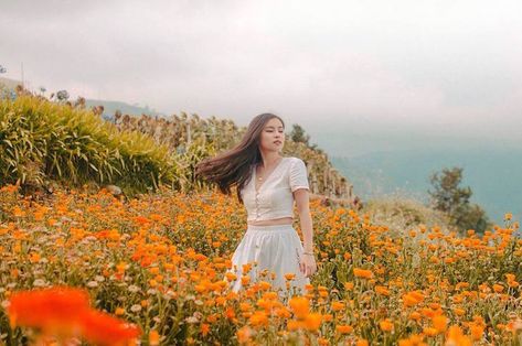 If you’re itching to get out of the city but bored with your usual out-of-town haunts, why not go for a mountainside location that hardly makes you feel like you’re still in the country? The Northern Blossom Flower Farm in Atok, Benguet does just that. Travelers have said that at first glance, the flower farm looks … Bahar Core, Cottagecore Places, Farm Poses, Country Cottage Aesthetic, City Photo Ideas, Flower Field Photoshoot, Photoshoot Flowers, Places In The Philippines, Prenuptial Photoshoot