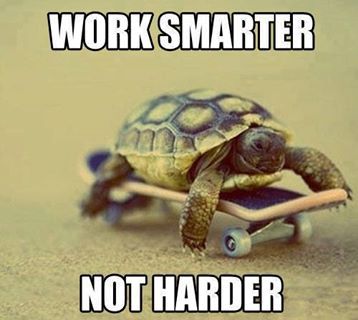 WORK SMARTER NOT HARDER Turtles Funny, Work Smarter Not Harder, Entrepreneurship Quotes, Work Quotes Funny, Smarter Not Harder, A Turtle, Work Memes, Work Smarter, Work Humor