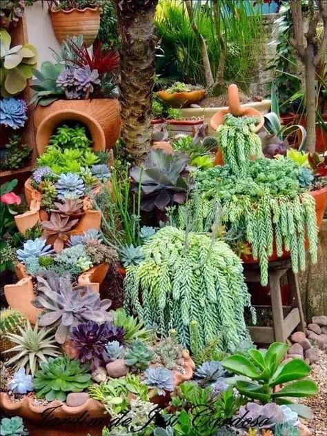 20 Beautiful Succulent Displays For Outdoor Landscaping Succulent Garden Outdoor, Succulent Rock Garden, Succulent Outdoor, Succulent Garden Landscape, Succulent Display, Succulent Landscape Design, Drought Tolerant Garden, A Life Well Lived, Succulent Garden Design