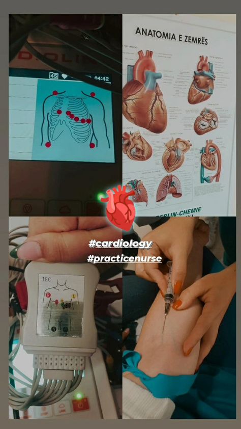 Cardiology Wallpaper, Cardiology Aesthetic, Cardiologist Aesthetic, Doctor Dream, Studying Biology, Cardiology Nurse, Cardiology Nursing, Food Studies, Future Motivation