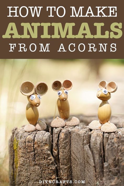 Halloween Acorn Crafts, Fall Crafts Acorns, Crafts With Acorn Tops, Diy With Acorns, Acorn Animals Diy, Acorn People Craft, Acorn Diy Crafts, Acorn Kids Crafts, Acorn Crafts For Kids Preschool