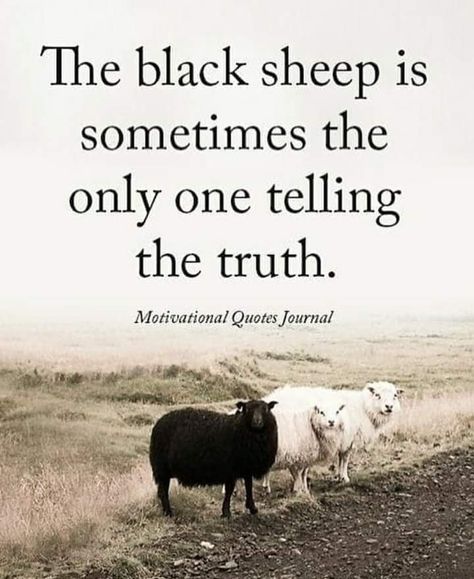 I'm the black sheep of my family and they don't like me cause I tell em like it is!!!! Funny Motivational Memes, Motivational Memes, The Black Sheep, Journal Quotes, Black Sheep, Intp, Tell The Truth, Intj, Quotable Quotes