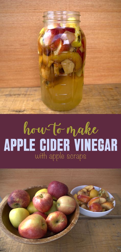 Homemade apple cider vinegar using apple scraps Apple Cider From Scraps, How To Make Apple Cider Vinegar, Apple Scraps, Homemade Vinegar, Homemade Apple Cider Vinegar, Make Apple Cider, Vinegar Recipes, Making Apple Cider, Apple Cider Vinegar Uses