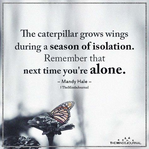 The caterpillar grows wings during a season of isolation. Remember that next time you're alone. Mandy Hale Now Quotes, Inspirational Thoughts, Quotable Quotes, A Quote, Wise Quotes, Inspiring Quotes, Meaningful Quotes, The Words, Great Quotes