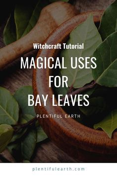 Bay Leaf Magic, Spells For Success, Bay Leaves Uses, Burn Bay Leaves, Witchy Herbs, Magickal Correspondences, Burning Bay Leaves, Kitchen Magick, Psychic Dreams