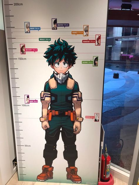 Character Height Chart, Gym Architecture, My Hero Academia Bakugou, Chico California, Silky Terrier, Height Chart, Class 1 A, Sport Body, Senior Dog