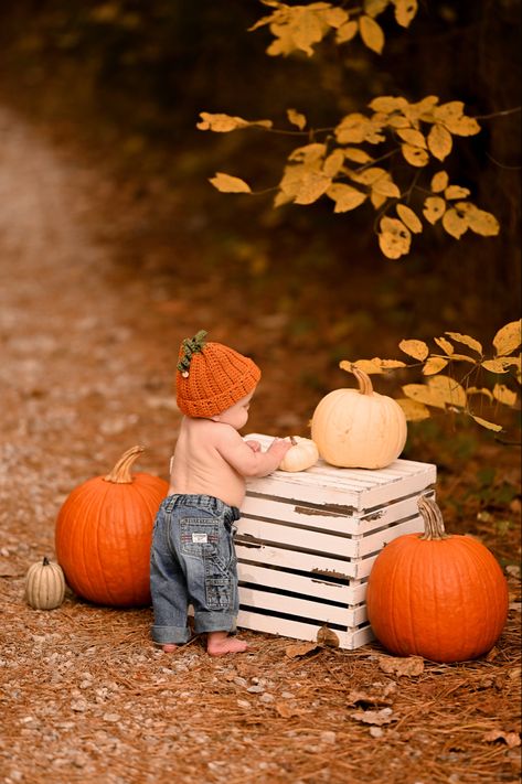 October Pictures For Babies, Fall 8 Month Pictures, Infant Fall Photoshoot At Home, 8 Month Old Fall Photos, Boy Fall Photo Shoot Ideas, 9 Month Old Fall Pictures, First Birthday Halloween Photo Shoot, Diy Fall Pictures Of Kids