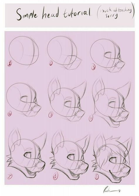 905056c1ac1dad141560467e0a99e1cf Wolf Drawing, Animal Sketches, Anime Drawings Tutorials, Art Tutorials Drawing, Facial Expressions, Drawing Base, Drawing Reference Poses, Drawing Tips, Art Reference Photos