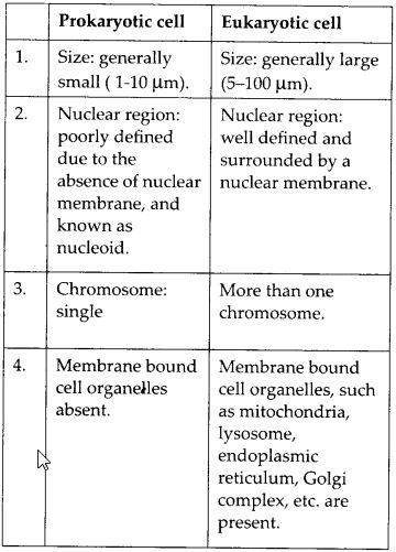 NCERT Solutions for Class 9 Science Chapter 5 The Fundamental Unit of Life - CBSE Tuts  #NcertSolutionsForClass9ScienceChapter5 The Fundamental Unit Of Life Notes, Fundamental Unit Of Life Notes Class 9, Class 9 Science Notes, The Fundamental Unit Of Life, Class 9 Notes, Tissue Biology, Nuclear Membrane, Algebra Formulas, Bio Notes