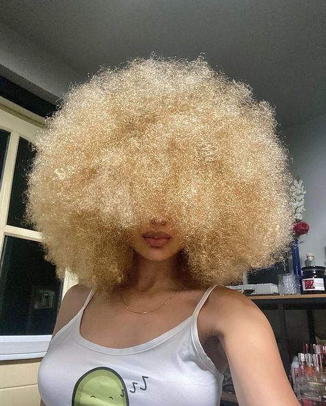 Blonde Afro Wig Black Women, Midnight Activities, Blonde Curly Afro, Blonde Afro Hair, 3c Afro, Golden Locs, Blond Afro, Frizzy Hairstyles, 2025 Beach