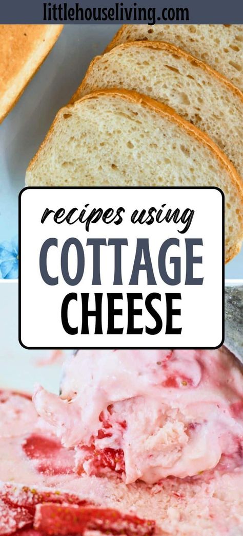 Healthy Staples, Cottage Cheese Recipes Healthy, Meals Of The Day, Ninja Recipes, Cottage Cheese Recipes, Tortilla Recipe, Protein Recipes, Cookie Pie, High Protein Recipes