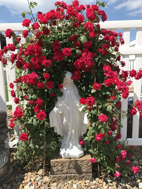 Best Marvelous Garden Climbing Roses Ideas - Garden Makeover Virgin Mary Outdoor Altar, Virgin Mary Garden Shrine, Virgin Mary Statue Garden, Virgin Mary Garden, Virgin Mary Shrine, White Climbing Roses, Marian Garden, Grotto Design, Red Climbing Roses