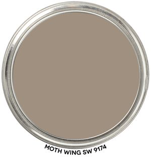 Moth Wing SW 9174 by Sherwin-Williams Get all the details about this color's hue family, value, chroma and LRV. Includes paint blob to swipe. Objective, accurate info from a Color Strategist! #MothWIng #9174 #SherwinWilliams #paint #color #ColorographyLab Requisite Gray, Owl Oc, Paint Blob, Coventry Gray, Sherwin Williams Alabaster, Sherwin Williams Gray, Mindful Gray, Ppg Paint, Flat Paint