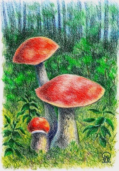 Colour Pencil Drawing Easy, Pencil Colours Art Drawings, Colour Pencil Art Landscapes, Scenery Drawing For Kids, Coloured Pencil Art, Poster Color Painting, Pencil Drawings Of Flowers, Color Pencil Illustration, Crayon Drawings