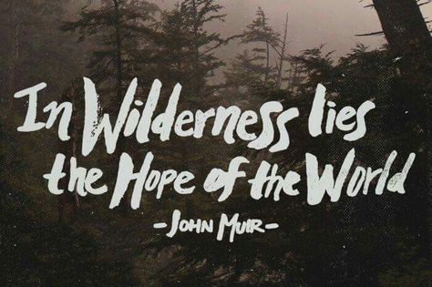 Mountain Quotes, John Muir Quotes, Quotes Nature, Hiking Quotes, Mountains Are Calling, Outdoor Quotes, The Mountains Are Calling, Super Quotes, John Muir