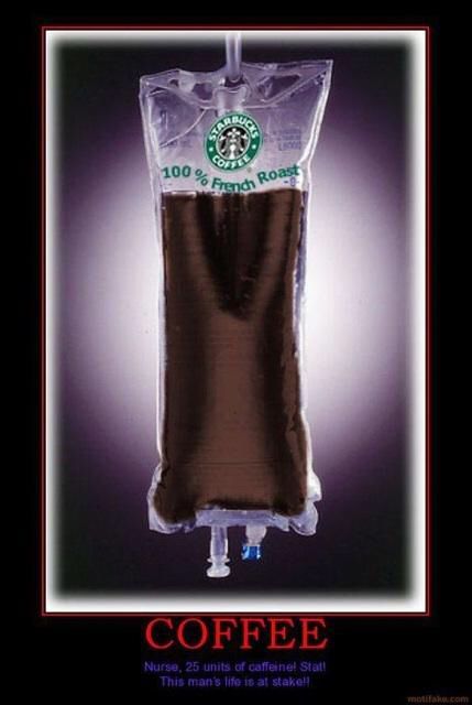 Infusion-stat! Coffee Iv, And So It Begins, Funny Pix, Finals Week, University Life, College Humor, Grad School, School Humor, Starbucks Coffee