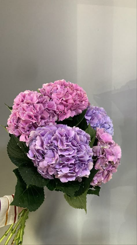 Hydrangeas Aesthetic, Purple Hydrangea Bouquet, Wedding Vow Renewal Ideas, Purple Hydrangeas, Purple Hydrangea, Vow Renewal Ideas, House Smell Good, Wedding Renewal Vows, Hydrangea Bouquet