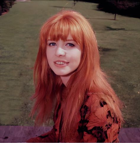 Shrimptons, Boyds, Asher, Faithfull And More 60s Bangs, Moda 60s, Bangs Inspo, Early Beatles, 60s Icons, Elliot Page, Beatles Girl, 60s Girl, Jane Asher