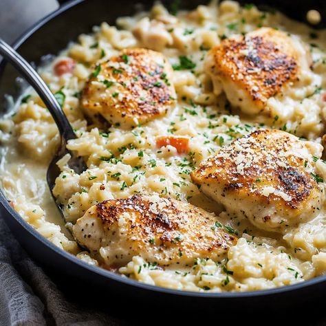 Chicken And Rice Alfredo Recipes, Creamy Chicken And Rice One Pot, Parmesan Chicken And Rice, Creamy Parmesan Rice, Baked Meals, Creamy Parmesan Chicken, Chicken And Rice Recipe, Creamy Chicken And Rice, Chicken Rice Recipes