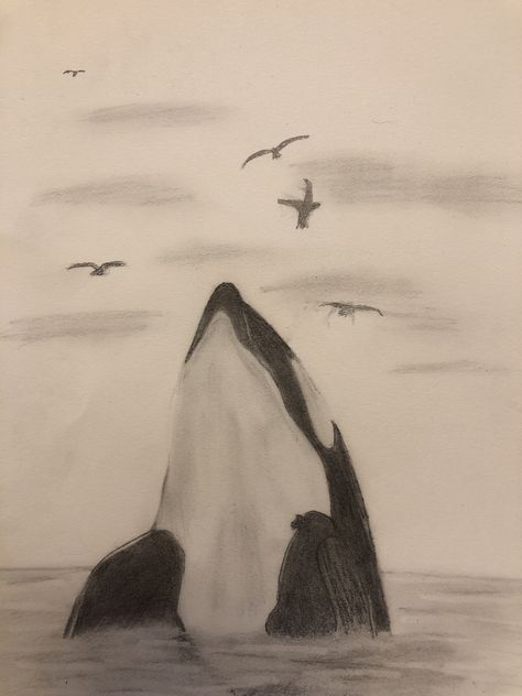 Orca Whale Sketch, Orca Drawing Realistic, Sea Sketch Pencil, Calm Drawing Ideas, Animals Combined Drawing, Cute Animal Sketches Easy, Orca Doodle, Marine Animal Drawings, Orca Sketch