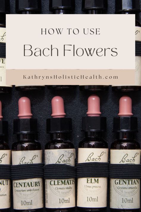 Bach Flower Remedies Chart, Bach Flowers, Flower Remedies, Living Intentionally, Bach Flower Remedies, Flower Remedy, Flower Video, Herbal Healing, Free Soul