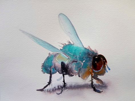 Fly Painting, Insect Art, Acrylic Artwork, Bee Art, Spring Art, Watercolor Inspiration, Watercolor Animals, Wildlife Art, Water Colour