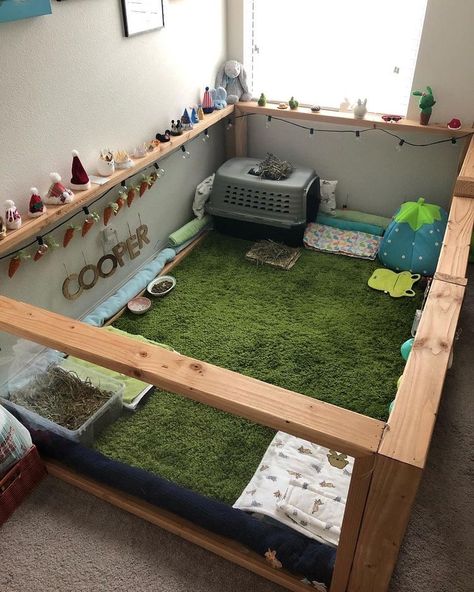 Diy Bunny Cage, Indoor Rabbit House, Diy Rabbit Cage, Rattus Rattus, Indoor Rabbit Cage, Diy Guinea Pig Cage, Rabbit Enclosure, Bunny Cage, Puppy Room