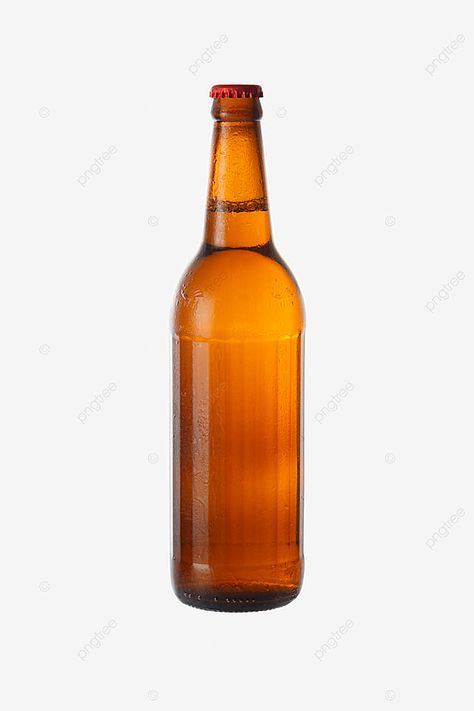 Beer Botle, Beer Bottle Drawing, Bottle Reference, Human Wings, 642 Things To Draw, Drink Clipart, Beer Clipart, Beer Bottle Art, Beer Background