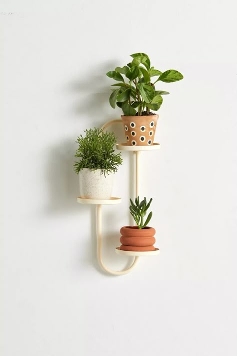 Wall Mounted Plant Stand | Urban Outfitters Wall Mounted Plant, Plant Pedestal, Sleek Decor, Indoor Plant Wall, Copper Pipes, Hanging Plant Wall, Home Vibes, Therapy Office, House Plants Decor