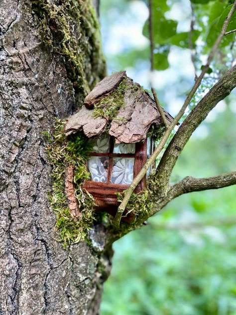 Tree Fairy Garden, Tree Fairy, Fairy Tree Houses, Fairy House Diy, Fairy Garden Designs, Fairy Home, Fairy Garden Crafts, Fairy Homes, Fairy Stuff