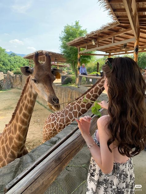 Zoo Asthetic Picture, Zoo Instagram Story, Zoo Pictures Ideas, Zoo Photo Ideas, Zoo Outfit Summer, Zoo Outfit Ideas, Vacation Pics Ideas, Cute Pic Poses, Zoo Date