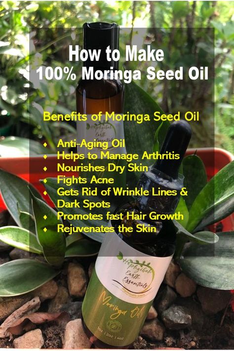 Moringa Seed Oil Tutorial: Learn how to make your own Moringa Seed Oil #howtomakemoringaseed oil, #moringaseedoil, realmoringaoil. Moringa Seed Oil is extremely good in helping to maintain overall health; it can be taken internally and used externally to treat conditions, especially, of the skin. #hephzibahearthessentials How To Make Moringa Oil, Oil Tutorial, Moringa Seeds, Moringa Leaves, Anti Aging Oils, Moringa Oil, Hair Growth Faster, Oil Benefits, What Can I Do