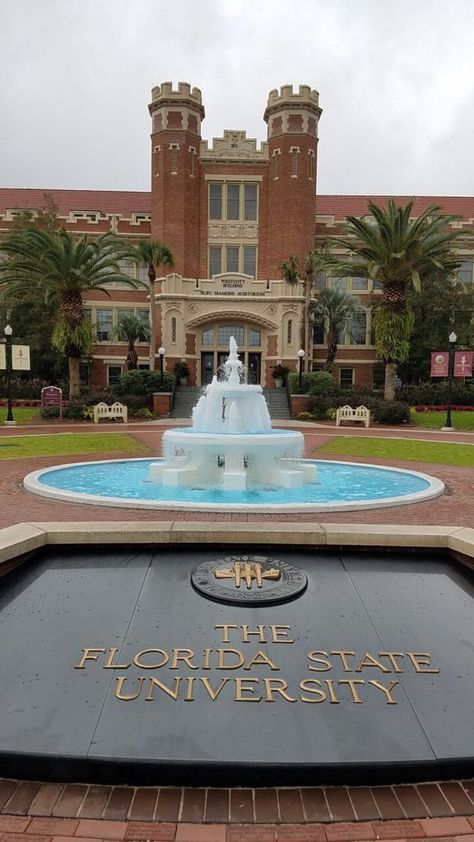 Tallahassee Florida Aesthetic, Fsu College Aesthetic, Florida State University Aesthetic, Graduate School Aesthetic, Fsu Aesthetic, Fsu Logo, Florida Logo, Florida University, Ncaa Football Teams