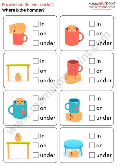 Grade 1 English Worksheets . Prepositions (Level 1 : In, On, Under) (Level 2 : In front of , Behind, Between) PDF Free Download In On Under Worksheet For Kindergarten, In On Under Behind Worksheet, Kindergarten English Worksheets, In On Under Worksheet For Kids, In On Under Worksheet, Prepositions Worksheets, In On Under, Math Grade 1, Preposition Worksheets Grade 1