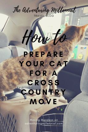 Moving Across Country Tips, Moving With Cats, Cross Country Moving, Moving With Pets, Moving Out Of State, Moving Across Country, Moving House Tips, Moving Hacks Packing, Cross County