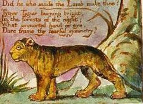 Beyond Words Alone: Poets as Artists of the Intentional | Huffington Post The Tyger William Blake, Teen Book Club, Dark Satanic, Poetic Devices, Poetic Forms, Teen Book, Word Order, Book Club Reads, Book Sites